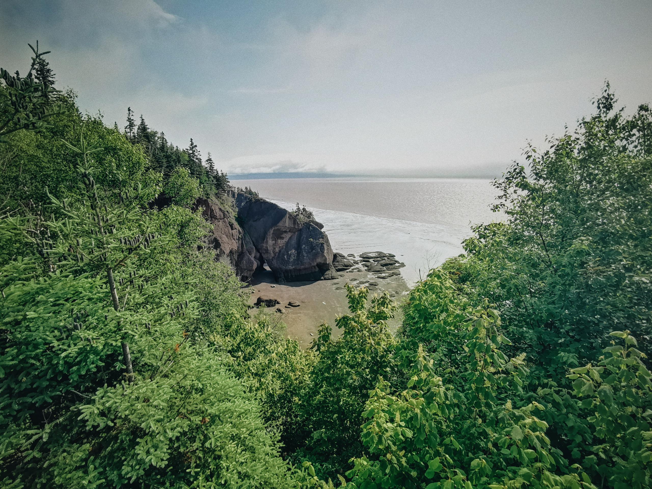 2019 07 06 06.19.16 2